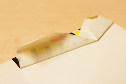 帯の汚れ・破れ