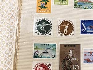 台紙に貼ってある