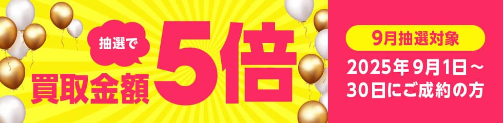 前
						   々		回のキャンペーン