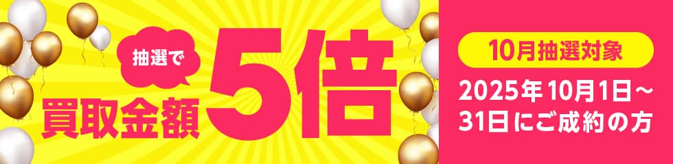 前
						   		回のキャンペーン