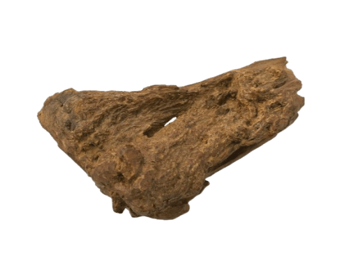 香道具・香木は買い取ってもらえる!高く売れる特徴や香道具作家をご紹介