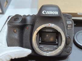 Canon:EOS 6D Mark II ボディなど6点