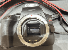 Canon:EOS Kiss X10 ブラックなど3点