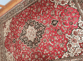 洋物/洋物/など