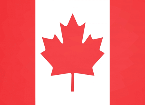 カナダコインのレアな種類や買取相場は？ネックレスやペンダントにも価値あり！