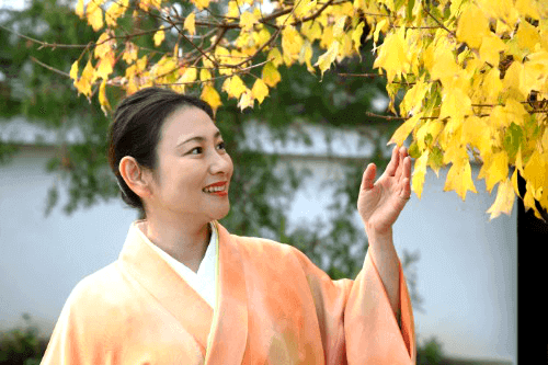 着物の「格」とその見分け方とは?着物の種類ごとの特徴を解説