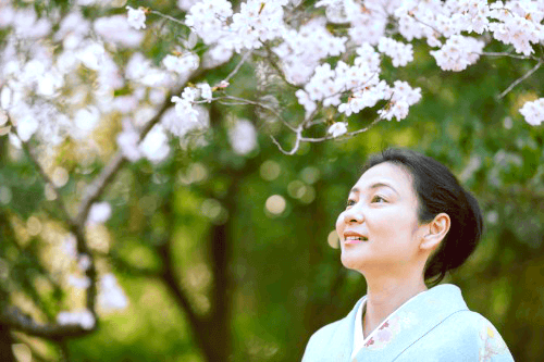 川島甚兵衛の買取相場とは?