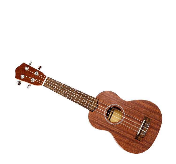 ウクレレ買取ならバイセル