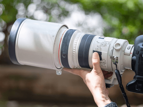 望遠レンズとは?使い方や広角レンズとの違い、特徴について解説